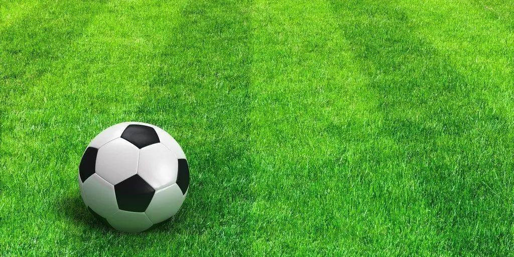 数据分析师利用雷速体育进行专业分析